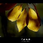 川北秋歌-十色九寨-结束篇图片 自然风光 风景图片