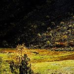 川西秋色图片 自然风光 风景图片