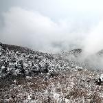 武汉云雾山-冬图片 自然风光 风景图片