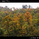 二郎山的红叶和蓝天图片 自然风光 风景图片