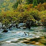 九寨第一季——水、瀑布图片 自然风光 风景图片