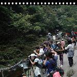 湖南——张家界——黄石寨图片 自然风光 风景图片