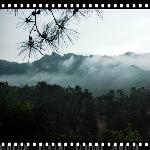 湖南——张家界——袁家界图片 自然风光 风景图片