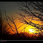 夕阳五章图片 自然风光 风景图片