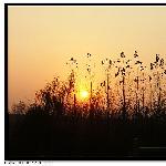 夕阳一组图片 自然风光 风景图片