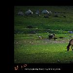 新疆印象-鲜活的画卷 III图片 自然风光 风景图片