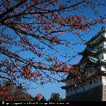 日本の秋图片 自然风光 风景图片