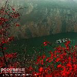 [原创]三峡红叶图片 自然风光 风景图片