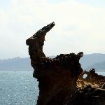 逼真的石头（台湾野柳见闻）图片 自然风光 风景图片