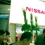 广州车展狂热中的一丝清凉－－NISSAN展位图片 自然风光 风景图片