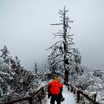 西岭飞雪图片 自然风光 风景图片