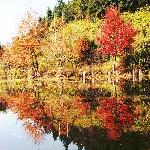 秋日时光图片 自然风光 风景图片