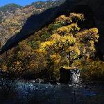 丹巴天然盆景·东谷沟-牦牛沟图片 自然风光 风景图片