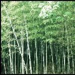 南京点滴图片 自然风光 风景图片