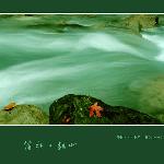 溪水·红叶图片 自然风光 风景图片