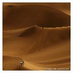 新疆库姆塔格沙漠景观图片 自然风光 风景图片