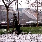 北京珍贵的雪图片 自然风光 风景图片