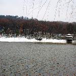 琵琶湖雪景图片 自然风光 风景图片