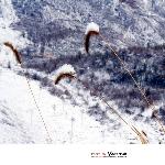 雪之小景图片 自然风光 风景图片