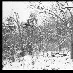 进山拍大雪--此情此景图片 自然风光 风景图片