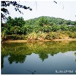 水影图片 自然风光 风景图片
