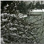 雪后闲逛瘦西湖图片 自然风光 风景图片