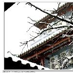 青山拍雪图片 自然风光 风景图片