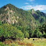 高山牧场图片 自然风光 风景图片