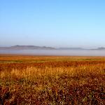 金秋塞罕坝－－－晨雾浓图片 自然风光 风景图片