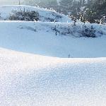 雪    色图片 自然风光 风景图片