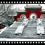 今年徐州第四场雪图片 自然风光 风景图片
