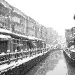 上班路上雪景图片 自然风光 风景图片