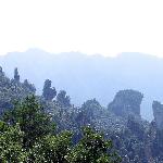 登天子山图片 自然风光 风景图片