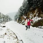 福泉山雪景图片 自然风光 风景图片
