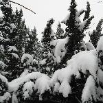 雪染社区图片 自然风光 风景图片