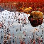 稻城－红草地（西行）图片 自然风光 风景图片