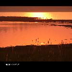湖光岩夕照图片 自然风光 风景图片