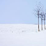 雪色原野图片 自然风光 风景图片