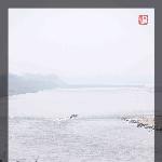 岷江河畔图片 自然风光 风景图片