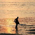 夕阳海滩拾贝人图片 自然风光 风景图片