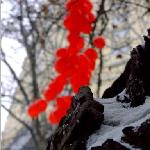街头拾景图片 自然风光 风景图片