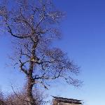 富士忍野村图片 自然风光 风景图片