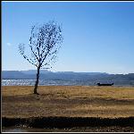 宁静的拉市海图片 自然风光 风景图片