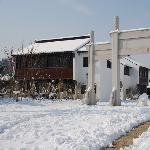 梁溪河整治桥头公园图片 自然风光 风景图片