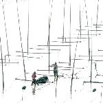 滩涂白描图片 自然风光 风景图片