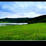 香格里拉普达措国家公园的阴天色彩图片 自然风光 风景图片