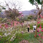 走进桃花涧图片 自然风光 风景图片