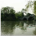 春天的瘦西湖走一圈图片 自然风光 风景图片