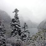 九寨雪景图片 自然风光 风景图片