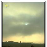 晨雾中的牧场图片 自然风光 风景图片